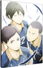 DVD／ハイキュー!!烏野高校vs白鳥沢学園高校 Vol.4