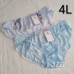 (J222)【4L】2着 レディースショーツ まとめ売り 3XL パンツ 下着