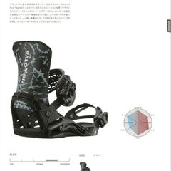 SALOMON サロモン HPS-GOOP グープ サイズ157 25-26 メンズ 国内200