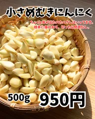 規格外むきにんにく　傷あり、根本に少し傷みあり　ホワイトろっぺん種のサムネイル