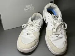 NIKE SB ALLEYOOP ナイキ アリウープ 24cm ホワイト 白 スニーカー 靴 運動靴