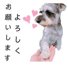 ノリタケ プレート6枚セット 100周年クイーンズヘリテージシリーズ