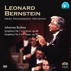 輸入盤 レナード・バーンスタイン ブラームス 交響曲 DVD2枚組 - メルカリ