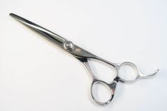 Item thumbnail for item ba8b7d78-6032-4fd6-8b4c-ea9d814e1b69