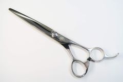 Item thumbnail for item 9569a6ed-850d-4acc-8085-6e066f89c3bb