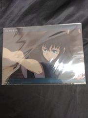 鬼滅の刃 ビッグクリアカード 無限城へと 鬼殺隊 93 柱稽古編 A21