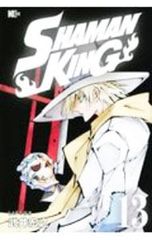 SHAMAN KING 13 / 타케이 히로유키