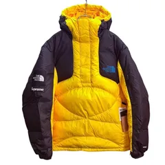【美品】サイズ【L】シュプリーム×ザノースフェイス Supreme×THE NORTH FACE 22AW／ 800-Fill Half Zip Hooded Pullover ／ザ・ノース・フェイス 800フィルハーフジップ　 8065000228764