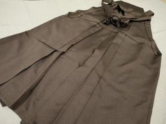 Item thumbnail for item 2abab925-16c7-4741-b810-1b32ed9ccd20