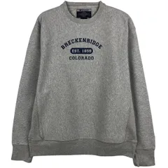 古着 00年代 チャンピオン Champion 3連プリント プリントスウェットシャツ トレーナー メンズM相当/eaa606174