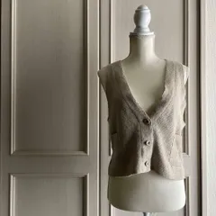 27 エヴァムエヴァ evam eva ベスト ジレ シャツ トップス リネン 無地　お呼ばれ　デート　オフィスカジュアル　食事会