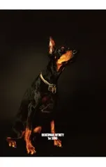 CD／DOBERMAN INFINITY／【CD+DVD】1st SONG 初回生産限定盤