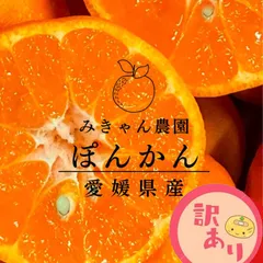 ぽんきゃんセール✨愛媛県西宇和産　ポンカン8キロ　訳あり　減農