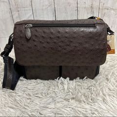 新品タグ付】クロコダイル 本革 ショルダーバッグ ペイズリー柄 
