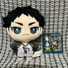 ハイキュー) 赤葦京治 ぬいぐるみのケージ出品