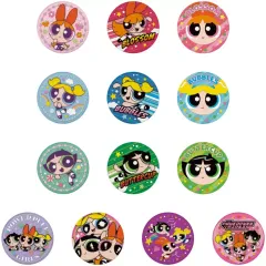 【中古】食玩 雑貨 全13種セット 「パワーパフガールズ 刺繍缶バッジビスケット」