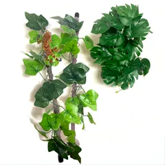 新品 爬虫類 登り木 枝 葉 流木 シェルター ビバリウム 人工植物 吸盤付き (3点セット(枝2本＋モンステラ))