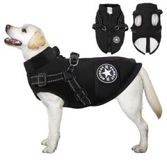 Item thumbnail for item 558ac9ff-43b1-44eb-86f8-cce3fea82b56