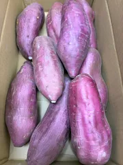 鳴門金時 A3L 5kg さつまいも