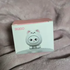 (ゆうパケット速達込み)Stray Kids(ストレイキッズ・スキズ・SKZ) SKZOO ジニレット フィギュア