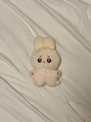 SEVENTEEN ドギョム ぬいぐるみ ドトリ 出品