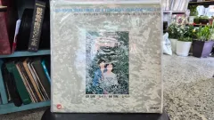 ヤングファミリー 8