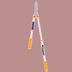 Item thumbnail for item 6365ecb0-e17b-4a1d-ac22-f8d24fe517fe