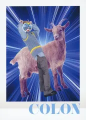 【中古】キャラカード ころん(すとろべりーぷりんす)/No.9 Goat Mood コロコロSPギャグポーズ 生写真カード 「私立すとぷり小学校」 コロコロコミック 2025年5月号 付録