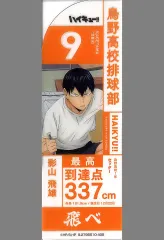 【中古】ブックカバー・栞 影山飛雄 「ブックマークコレクション ハイキュー? Vol.2 2枚入り」