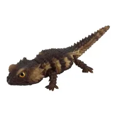 【中古】トレーディングフィギュア アルマジロトカゲ(新色) 「いきもの大図鑑レプティ SELECTED EDITION」