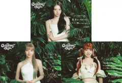 【中古】キャラカード AYAKA＆MAYUKA＆MIIHI(NiziU) 印字サイン＆メッセージ入りカード3枚セット Type.A 「CD COCONUT 初回生産限定盤A」 Loppi・HMV購入特典