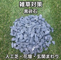 1kg 化粧石 化粧砂 石 用土 マルチング デコジャリ ブラック アガベ 10