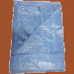 レジャーシート ブルーシート #1100 薄手 3.6m×5.4m モリリン ハトメ付き 軽量タイプ 1枚入