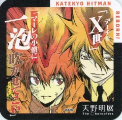 【中古】コースター ボンゴレI世＆沢田綱吉(家庭教師ヒットマンREBORN!) 「天野明展 The Characters 『天野明展』アートコースター」