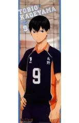 【中古】ポスター(アニメ) 影山飛雄 「ハイキュー!! キャラポスコレクション」