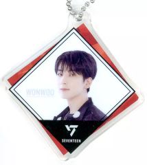 [중고] 열쇠 고리 원우 [SVT 아크릴 매력 vol.2 From PLEDIS ENTERTAINMENT SEVENTEEN]
