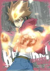 【中古】クリアファイル 沢田綱吉 A5ミニクリアファイル 「一番くじVファイルコレクション 家庭教師ヒットマンREBORN!Part2」 