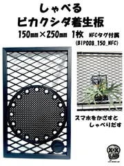 しゃべる ビカクシダ着生板 150㎜×250㎜ 1枚  NFCタグ付属　(BIP008_150_NFC)