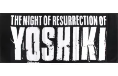 2026年最新】x japan タオルの人気アイテム - メルカリ