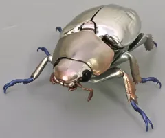 2026年最新】プラチナコガネの人気アイテム - メルカリ