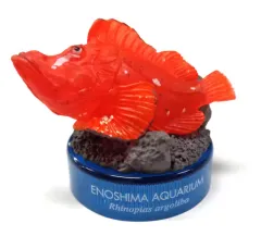 【中古】トレーディングフィギュア ナミダカサゴ 「新江ノ島水族館立体生物図録2」のサムネイル