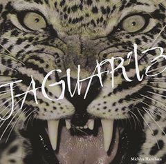 Item thumbnail for item 555d8e86-7417-4dc9-9a71-75af9d146ec8