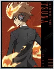 【中古】キャラカード 沢田綱吉 「家庭教師ヒットマンREBORN! 描き下ろしイラスト 戦う背中ver. トレーディングアクリルカード」