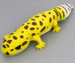 【中古】ぬいぐるみ きいちゃん レオパのきいちゃんるんるん気分JBぬいぐるみ