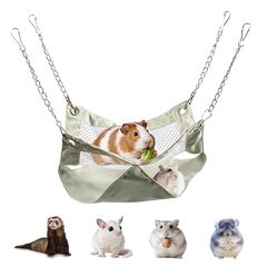 Item thumbnail for item 5b1bd3e6-a317-45b8-b6ac-bdc3d5e78c95