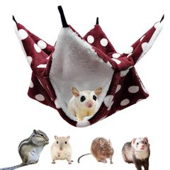 Item thumbnail for item 1911c520-eb4c-4a36-a3ae-9982cd21f26f