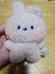 BT21 COOKY ぬいぐるみ 出品
