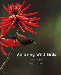 【スリップ・チラシ・ハガキ付】青春裁判 永島慎二 レア スリップ・チラシ・ハガキ付】青春裁判 永島慎二 レア 2025年最新