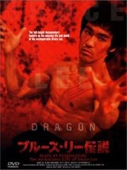 ブルース・リー伝説 DVD 全15巻 全巻セット ケース付 ダニー・チャン