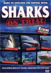 SHARK～2nd Season～ Blu-ray BOX 豪華版〈初回限定生… - メルカリ